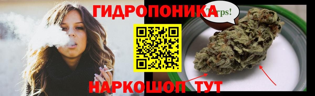 Бошки марихуана THC 21% Чернушка